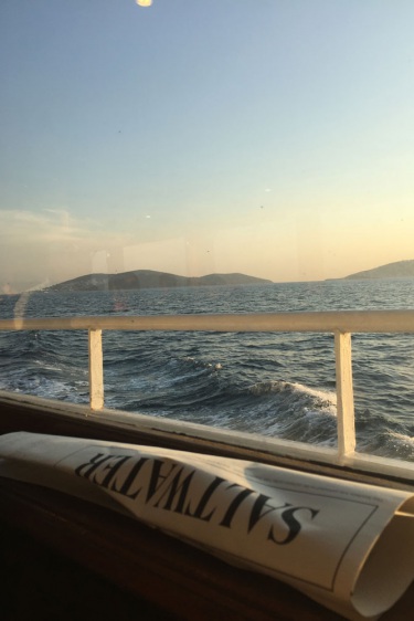 14. İstanbul Bienali Tuzlu Su