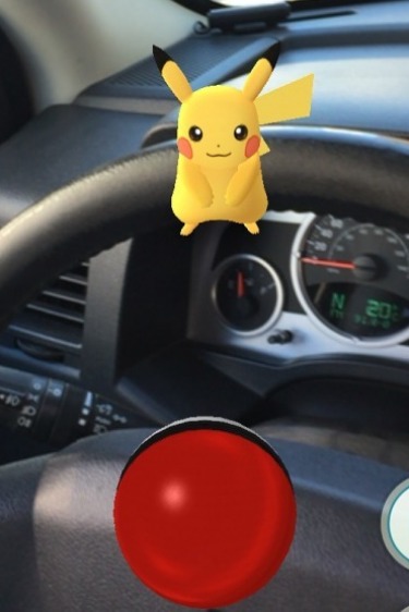 Meşgule Aldı, Kesin Pokemon Yakalıyor