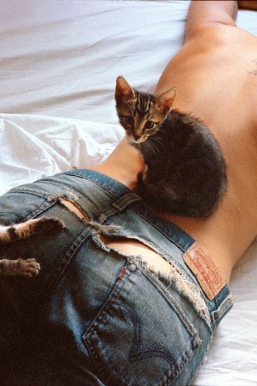 100 Cheeks: Şerefine Popo!