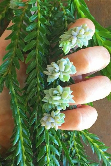 Haftanın Dikkat Çeken 5 Güzellik Haberi