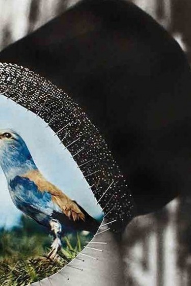 Sanat Fotoğrafçılığı 3. Boyutunda