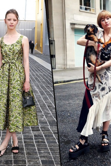 Şimdi Dene: Hayvan Baskıları vs. Damask Baskılar