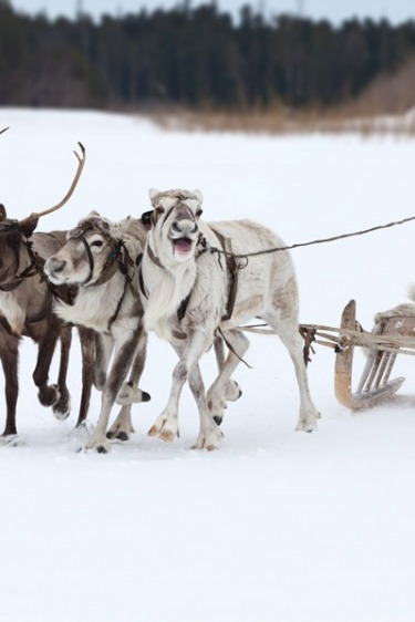 En İyi Kış Festivalleri