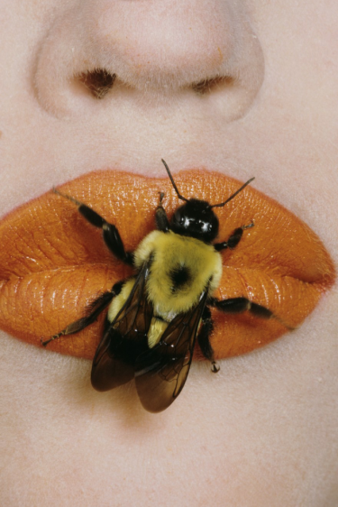 Moda Fotoğrafçılığına Sanat Kadrajı: Irving Penn