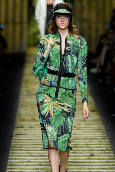 Doğal Kamuflaj: Tropik Hayvanlar & Böcekli Mücevherler