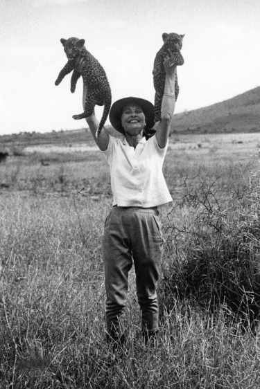 Nuh'un Gemisi: Yeni Sezonun Trend Avı