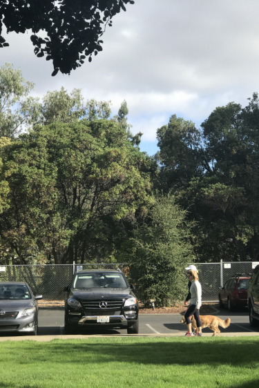 Stanford Mahallesinin İyi Komşuları