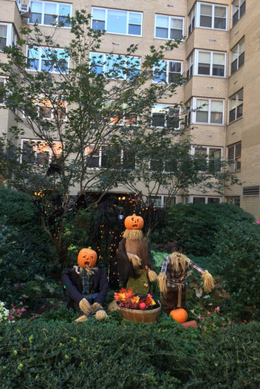 New York'un Sonbahar Rotası