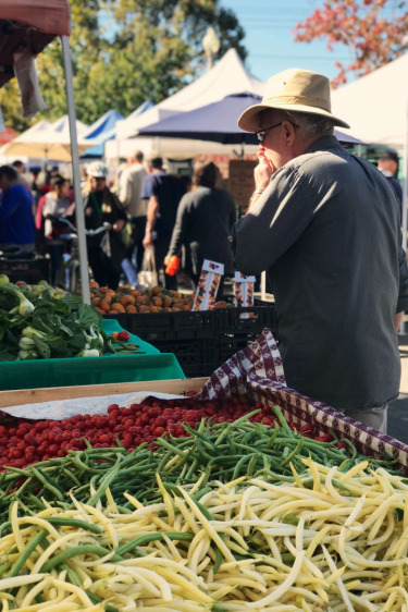 Gerçek Kaliforniyalı Pazara Çıkar
