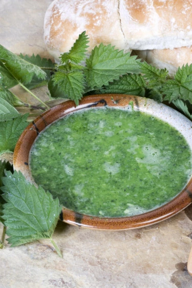 Isırgan Otu