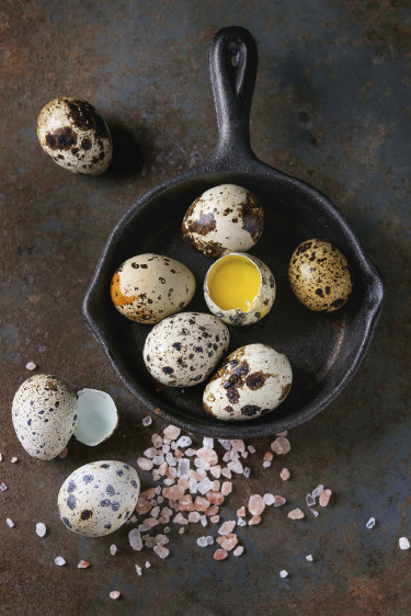 Kabuğunu Kırınca Yumurta