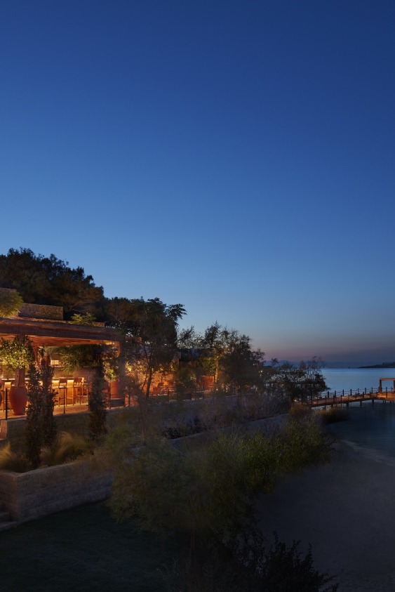 the edition, gastronomi