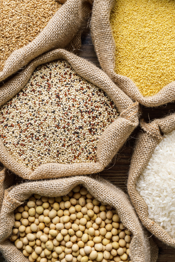 Teff Tohumu Hakkında Bilmeniz Gerekenler