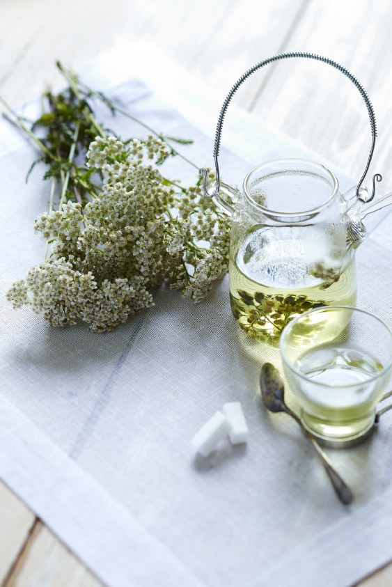 Melisa Çayı Hakkında Bilmeniz Gerekenler