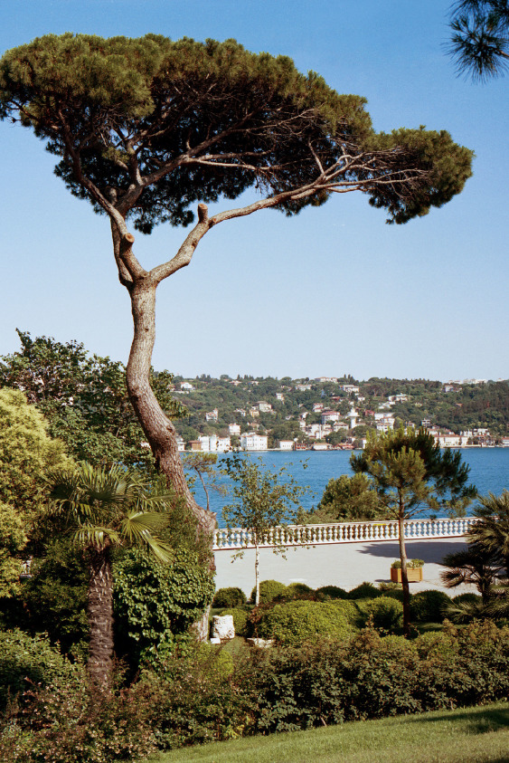 Sakıp Sabancı Müzesi Sakıp Sabancı Müzesi