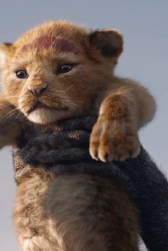 aslan,kral