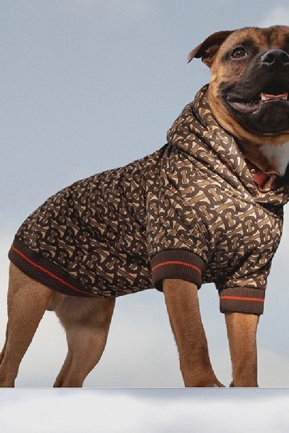 Burberry'nin En Sevimli Kazağı