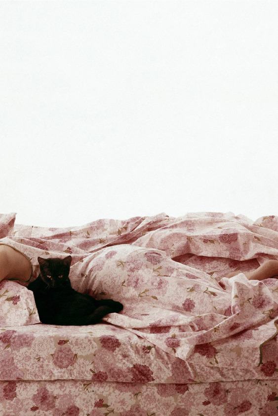 6 Adımda Daha Derin Bir Uykuya Hazırlık