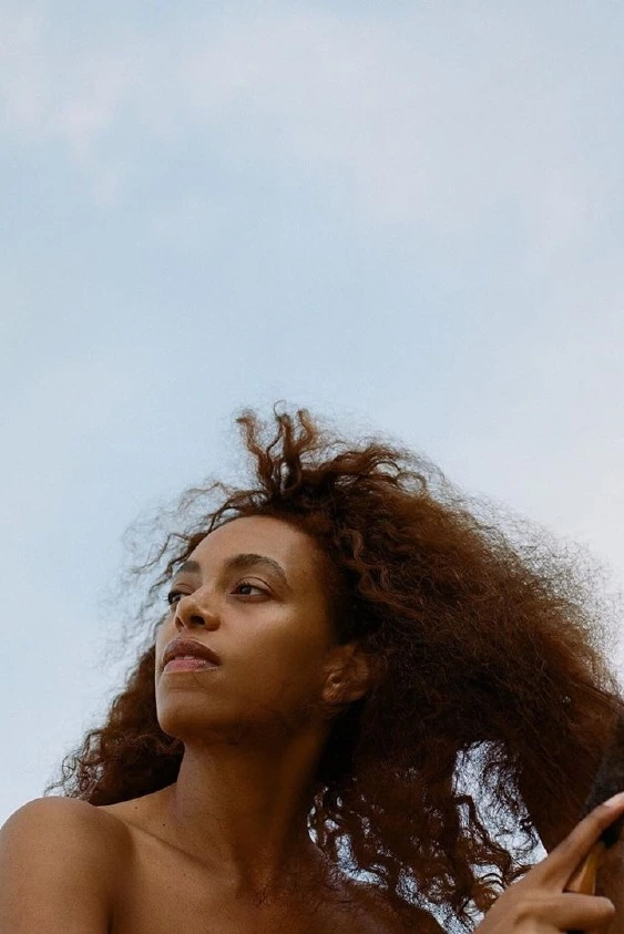 Solange Knowles ve Alan Ferguson Neden Boşandı?