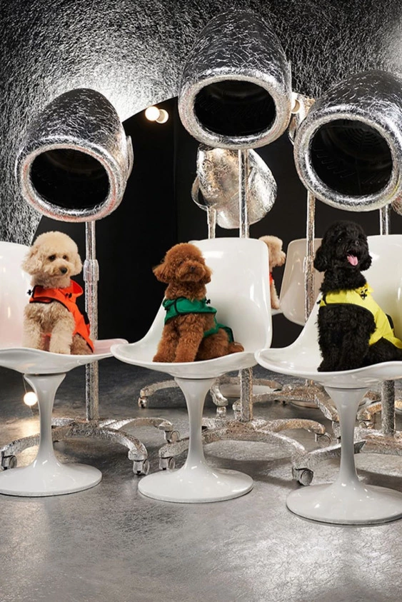 Moncler'in Etik Modaya Aykırı Laboratuvarı