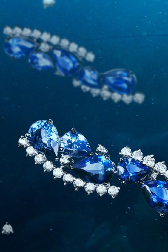 Adler'in Zarif Mücevherleri