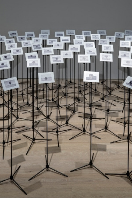 Arter'in Yeni Çevrimiçi Semineri 27 Ekim'de Başlıyor