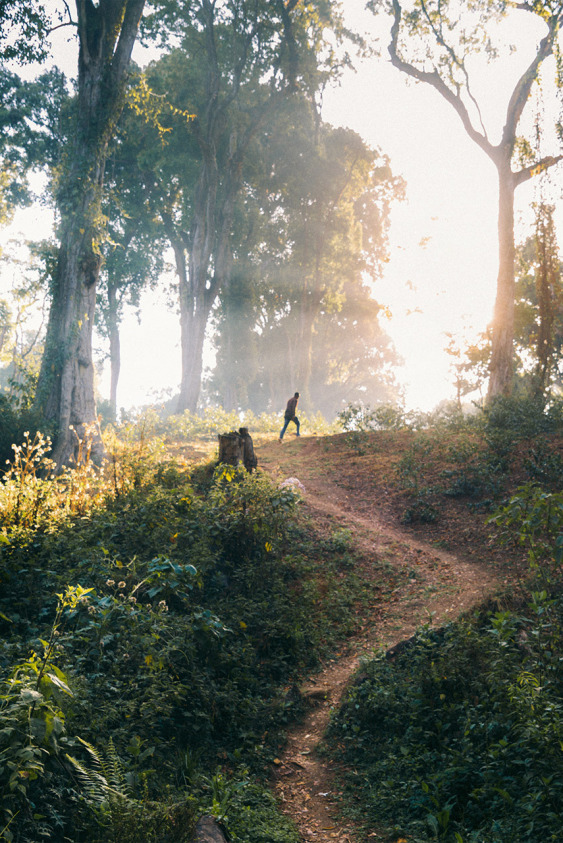Sürdürülebilir Yaşam Film Festivali Pera Müzesi'nde Başlıyor