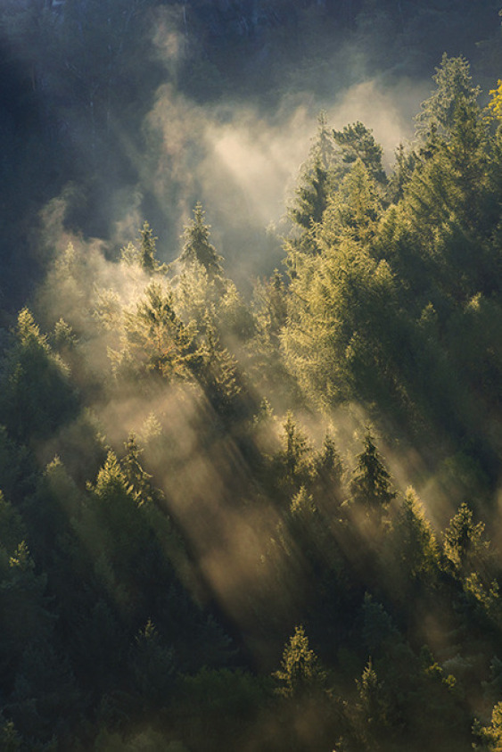 slow november sürdürülebilir alışveriş