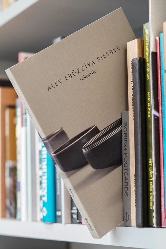Alev Ebüzziya Siesbye'nin Tekerrür'ü Kitap Oldu