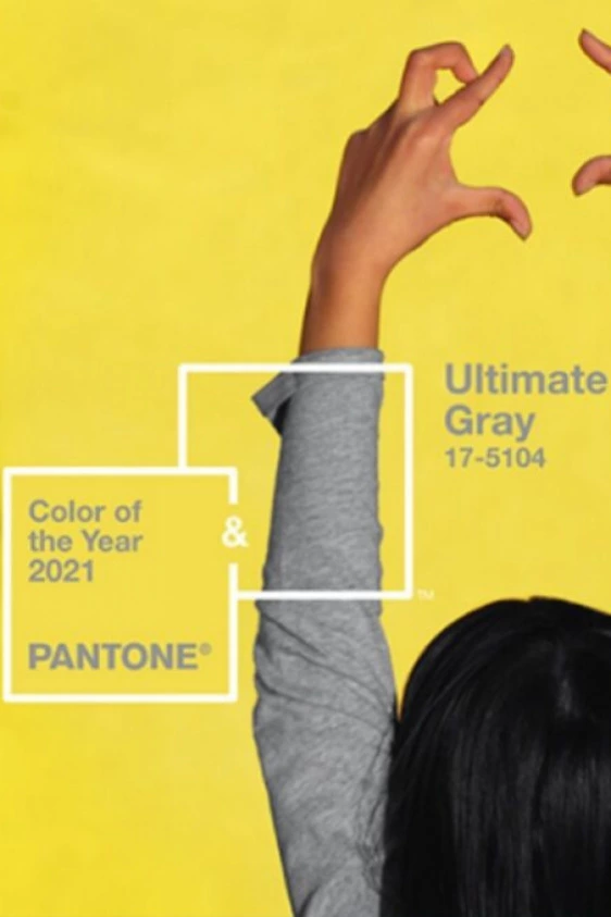 2000'den Bu Yana Yılın Pantone Renkleri