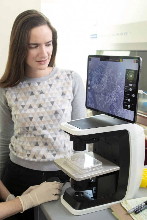 Kadınların Sürdürülebilir Bir Gelecekteki Rolü