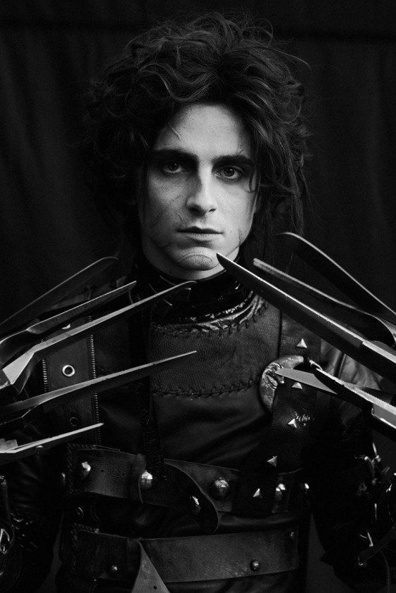 Timothée Chalamet Yeni Edward Scissorhands Olursa
