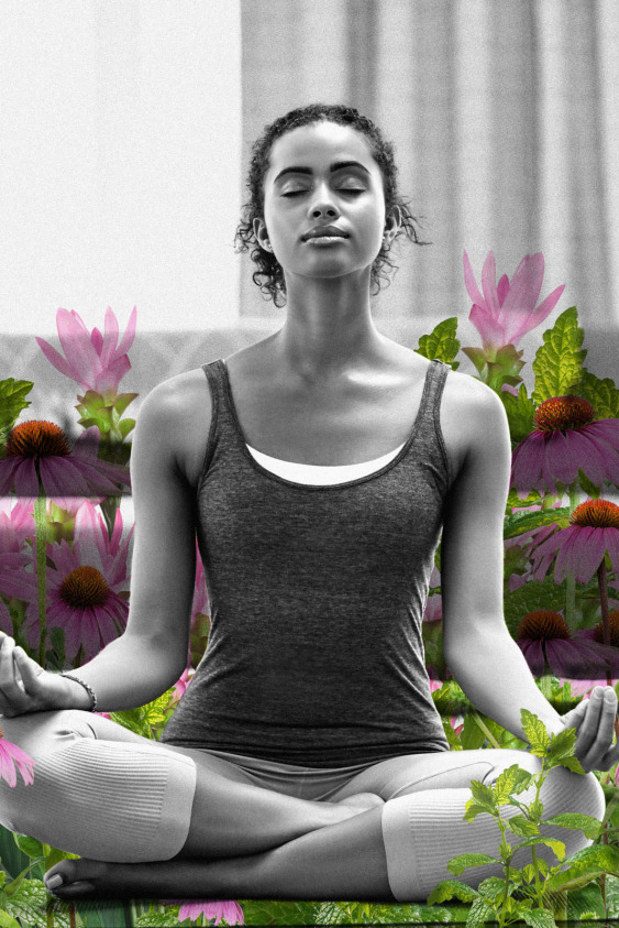 Yakından Tanımanız Gereken 5 Süper Besin Yakından Tanımanız Gereken 5 Süper Besin