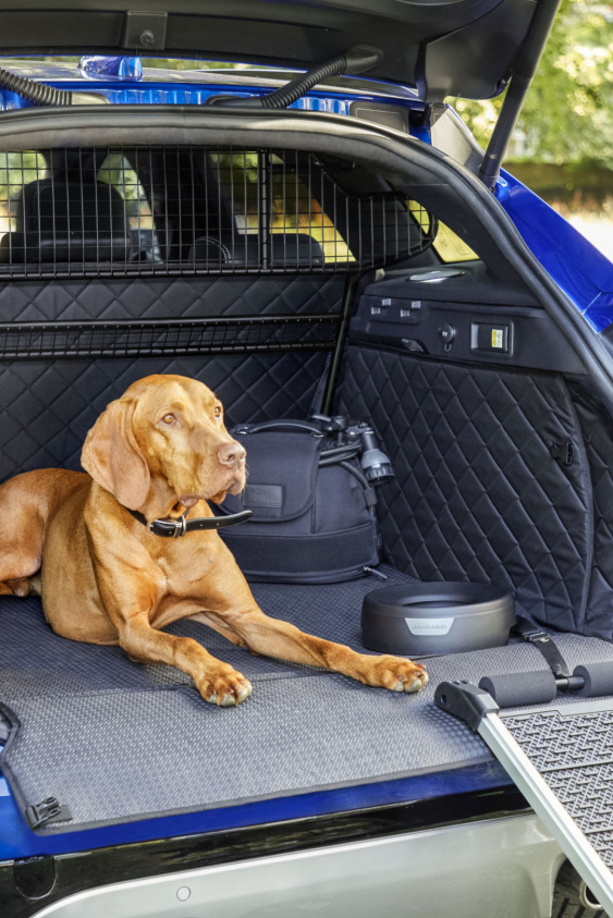 Jaguar'dan Tutkuların Yeni Yansıması