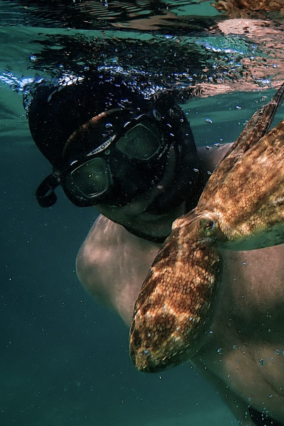 Kalbinizi Bir Ahtapota Vermeye Hazır Mısınız?