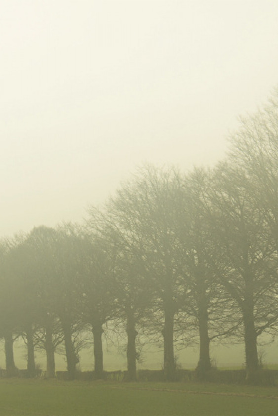 Online film platformu Kundurama'da yeni seçki.