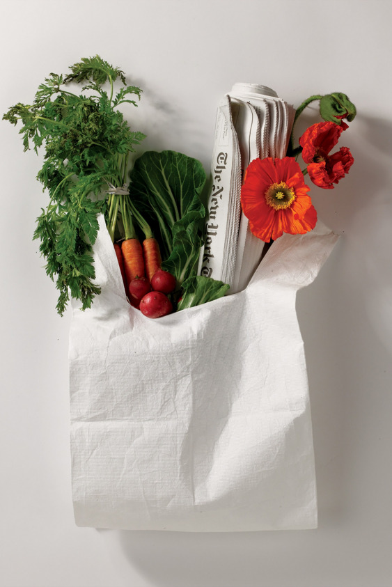 Vegan beslenme, Bitki bazlı beslenme