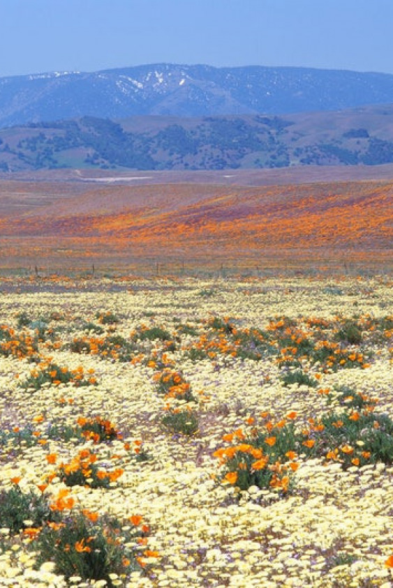 İklim Krizini Hakkında Bilinçlendiren 5 Podcast