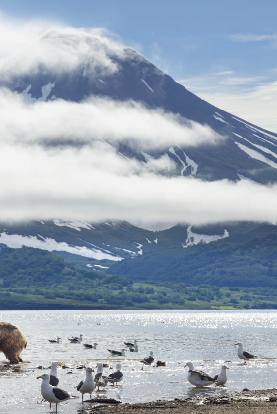 BBC'den İklim Değişikliğine Dikkat Çeken 7 Belgesel