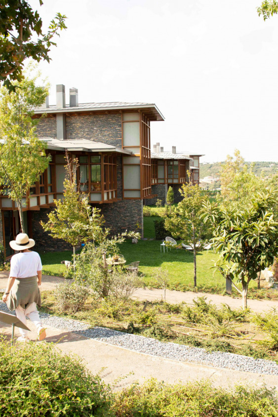 Düşlerin Gerçekleştiği Bir Vadi