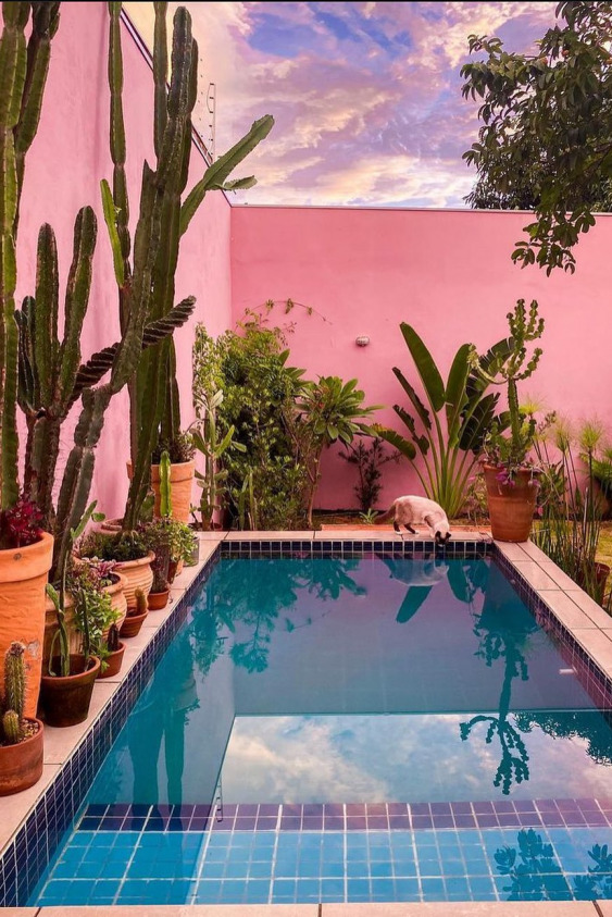 Bitki Meraklılarının Takip Etmesi Gereken 10 Instagram Hesabı