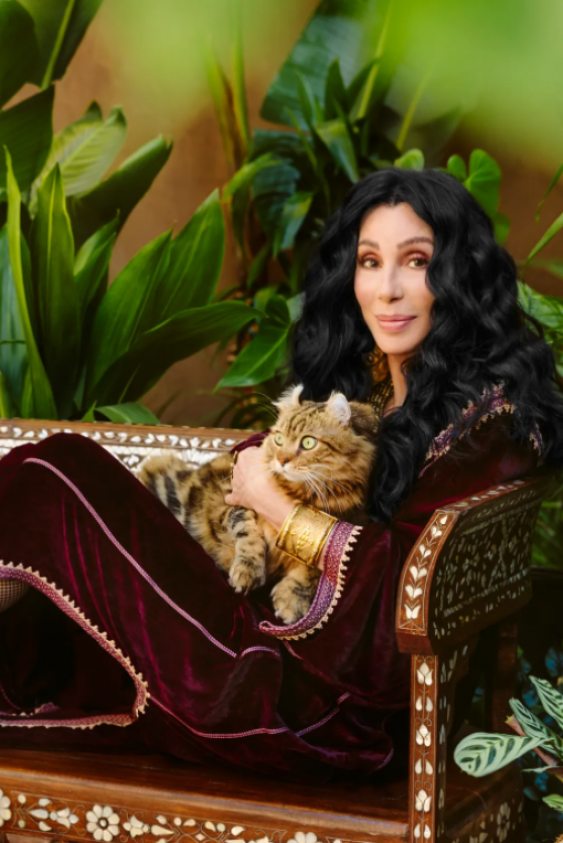 Cher Ugg'ın Yeni Yüzü Oldu Cher, Ugg