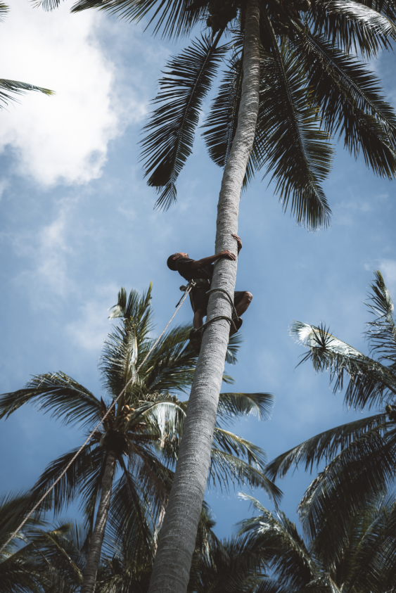 Yolda Olmak İçin Gidilen Bir Yol: Phuket'te 48 Saat Yolda Olmak İçin Gidilen Bir Yol: Phuket'te 48 Saat