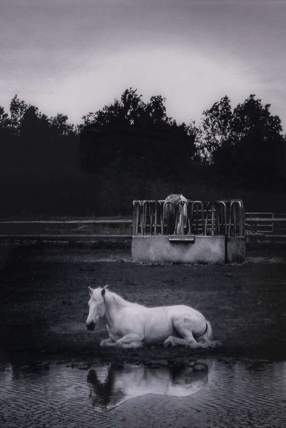 Doğaya Dönüş Ritüeli