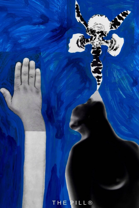 Sonbahar Etkinlik Takvimi