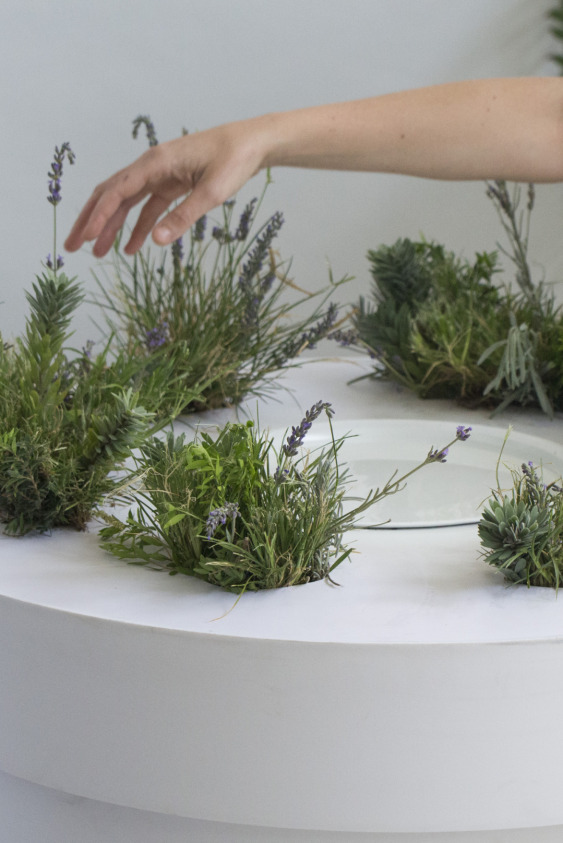 #VOGUESosyalEtki: Doğa ile Teknolojiyi Birleştiren bir İnisiyatif; Greentouch