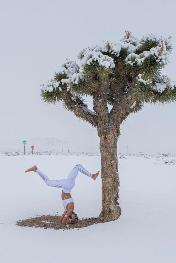 Snowga Nedir?