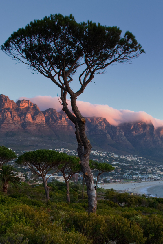 Cape Town’da 48 Saat