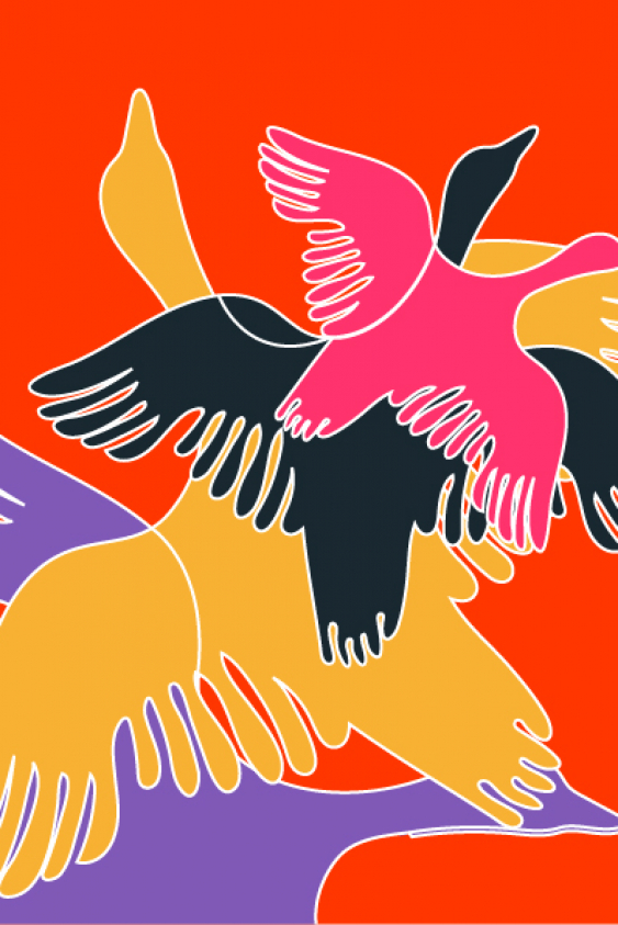 Keşfetmenin İyileştirici Gücü