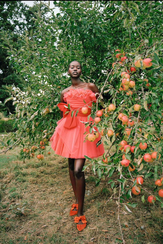 Elma Sirkesinin Faydaları